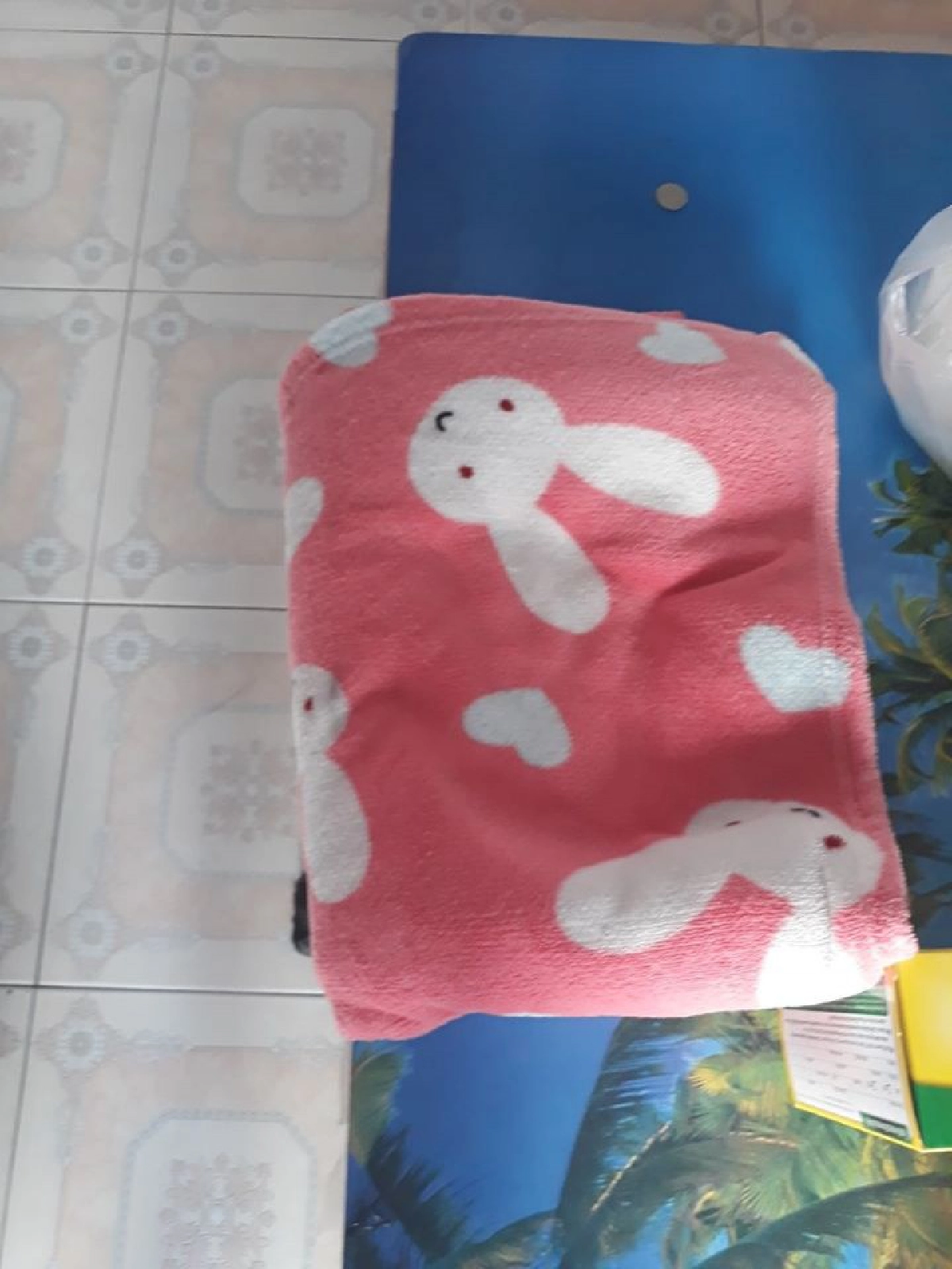 สาวมอบผ้าห่ม เสื้อกันหนาวกับลุงและสุนัขจรจัดที่นอนข้างถนน