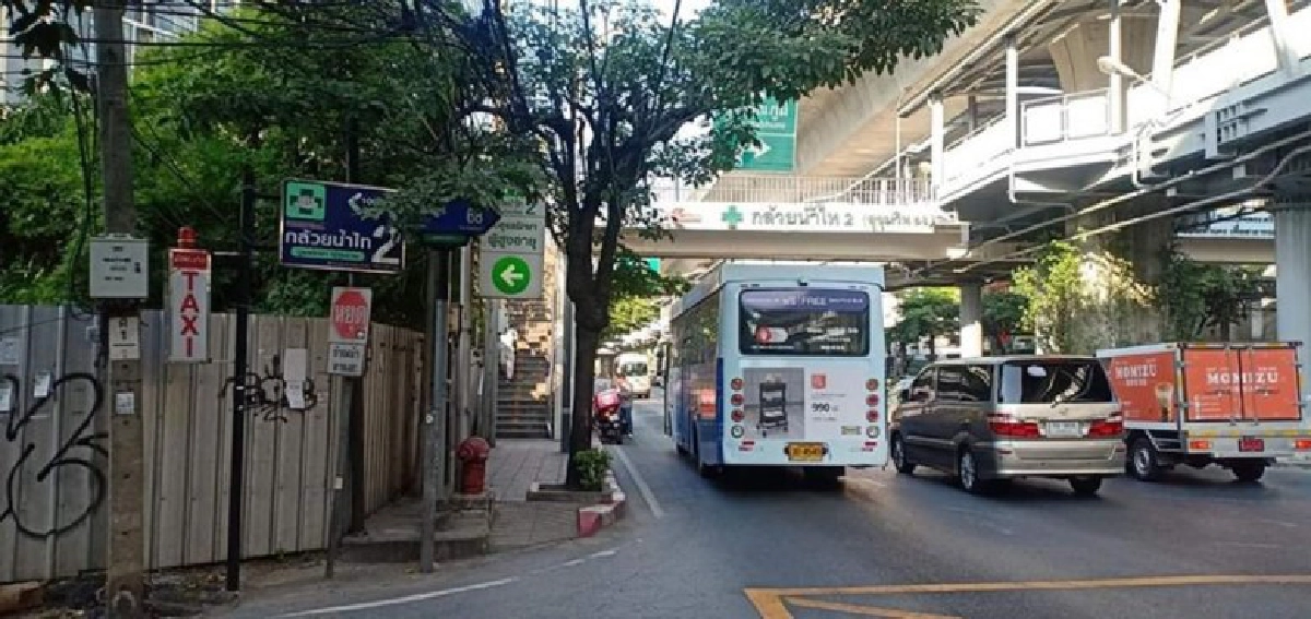 สาวมอบผ้าห่ม เสื้อกันหนาวกับลุงและสุนัขจรจัดที่นอนข้างถนน