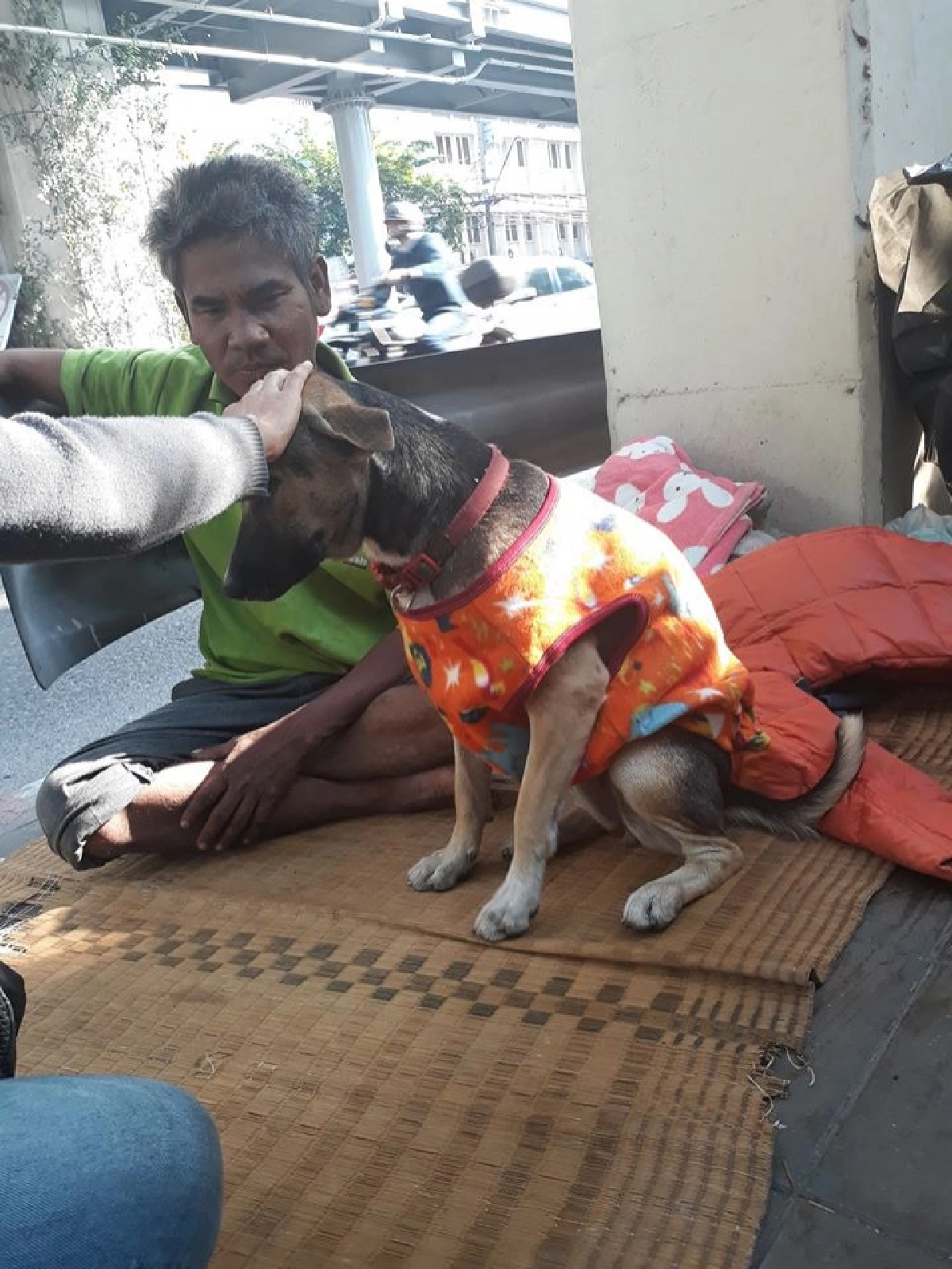 สาวมอบผ้าห่ม เสื้อกันหนาวกับลุงและสุนัขจรจัดที่นอนข้างถนน