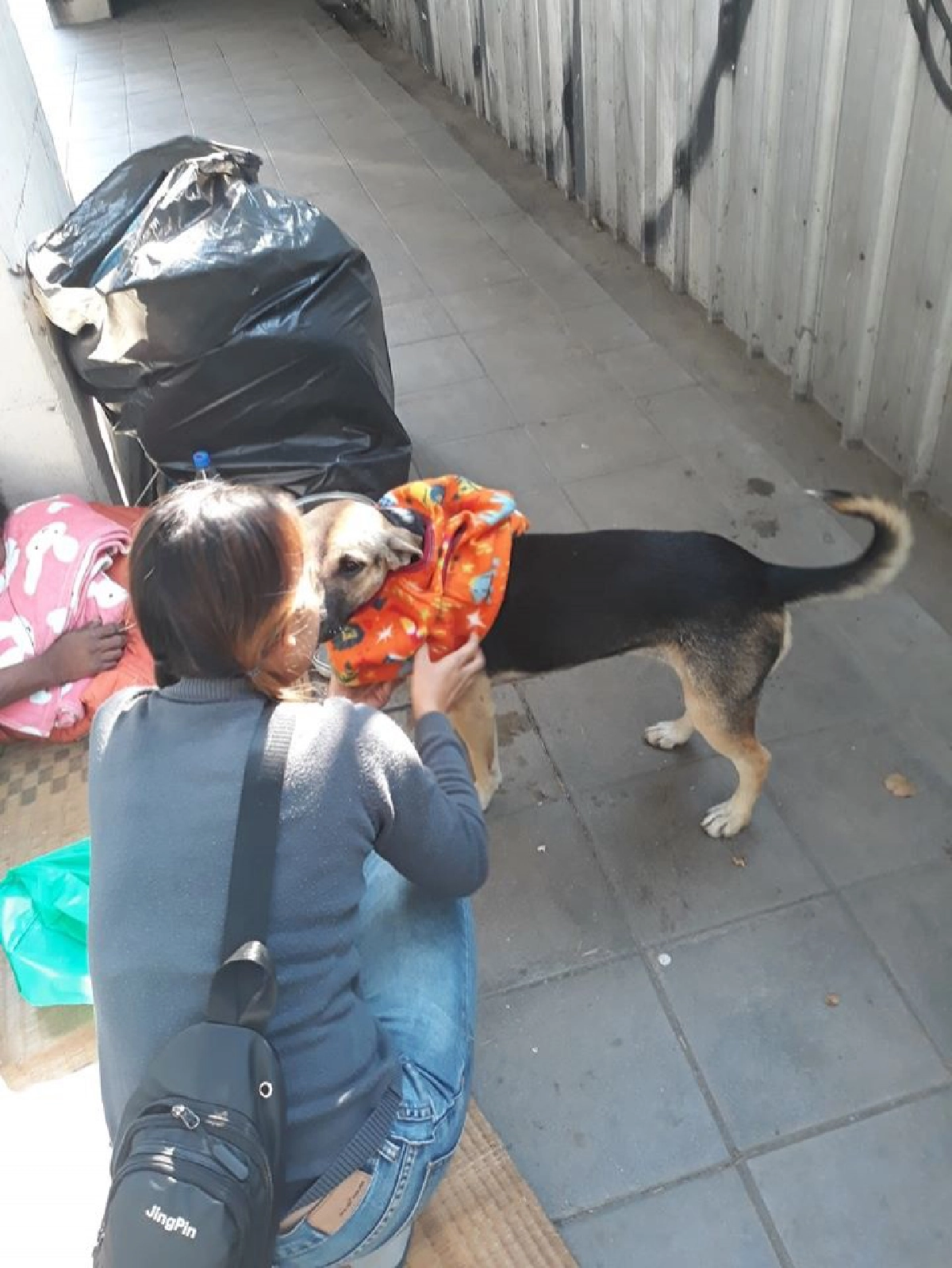 สาวมอบผ้าห่ม เสื้อกันหนาวกับลุงและสุนัขจรจัดที่นอนข้างถนน