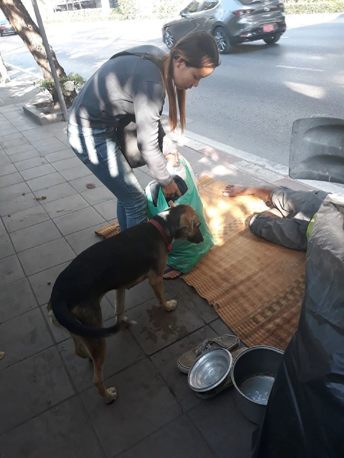 สาวมอบผ้าห่ม เสื้อกันหนาวกับลุงและสุนัขจรจัดที่นอนข้างถนน