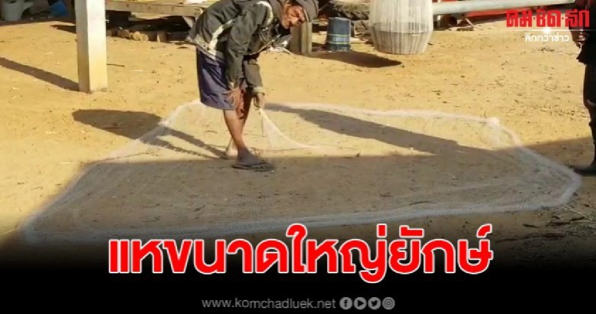 หัวใสชาวบ้านโนนแดง ทำแหยักษ์ดักปลา ยาวกว่า 13 ศอก หัวใสชาวบ้านโนนแดง ทำแหยักษ์ดักปลา ยาวกว่า 13 ศอก