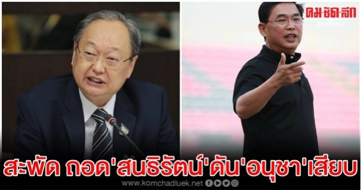 สะพัด พปชร.ถอด สนธิรัตน์ พ้น เลขาฯพรรค ดัน อนุชา เสียบ