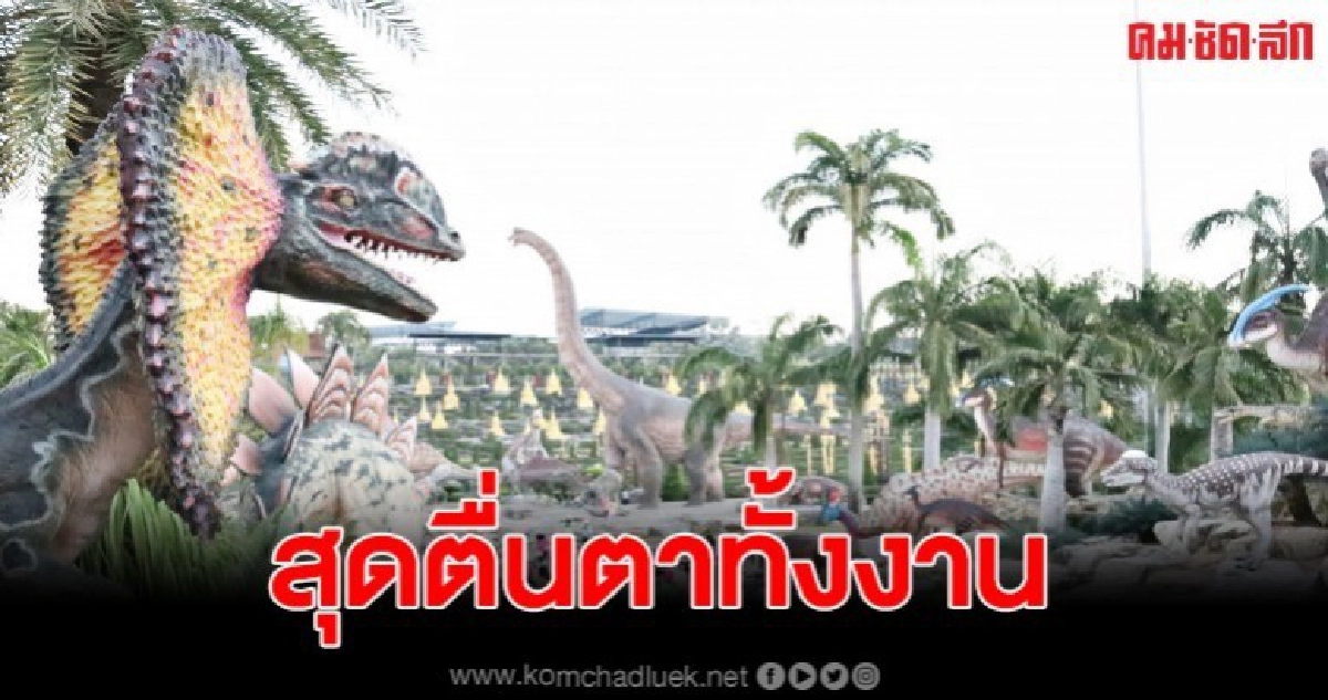 ร่วมวิ่งท่องโลกสวนนงนุช กับงานBOOMERANG RUN ร่วมวิ่งท่องโลกสวนนงนุช กับงานBOOMERANG RUN