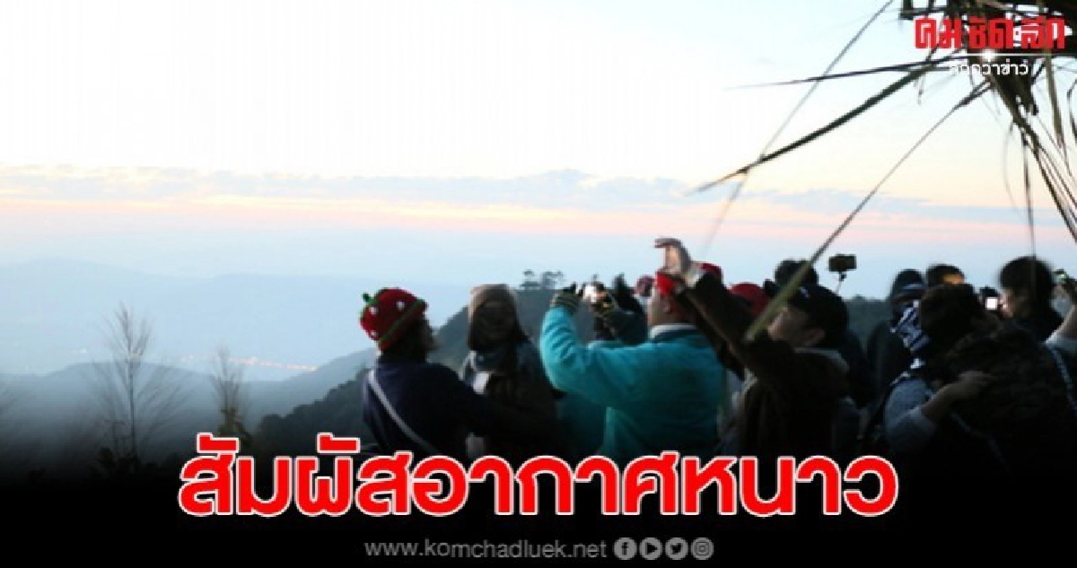 วันหยุด นทท.ชมธรรมชาติ ทะเลหมอก สัมผัสอากาศหนาวที่ยอดภูลำดวน วันหยุด นทท.ชมธรรมชาติ ทะเลหมอก สัมผัสอากาศหนาวที่ยอดภูลำดวน