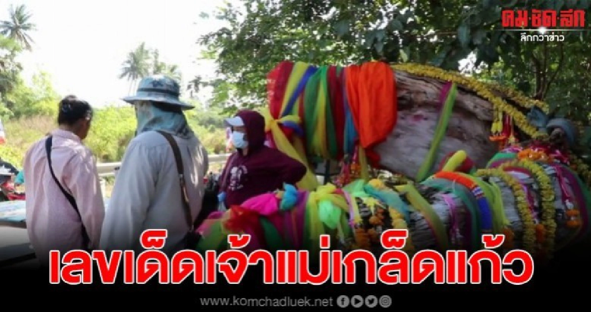 แห่ขอเลขเด็ดเจ้าแม่เกล็ดแก้ว วัดตั้งกลางถนน แห่ขอเลขเด็ดเจ้าแม่เกล็ดแก้ว วัดตั้งกลางถนน