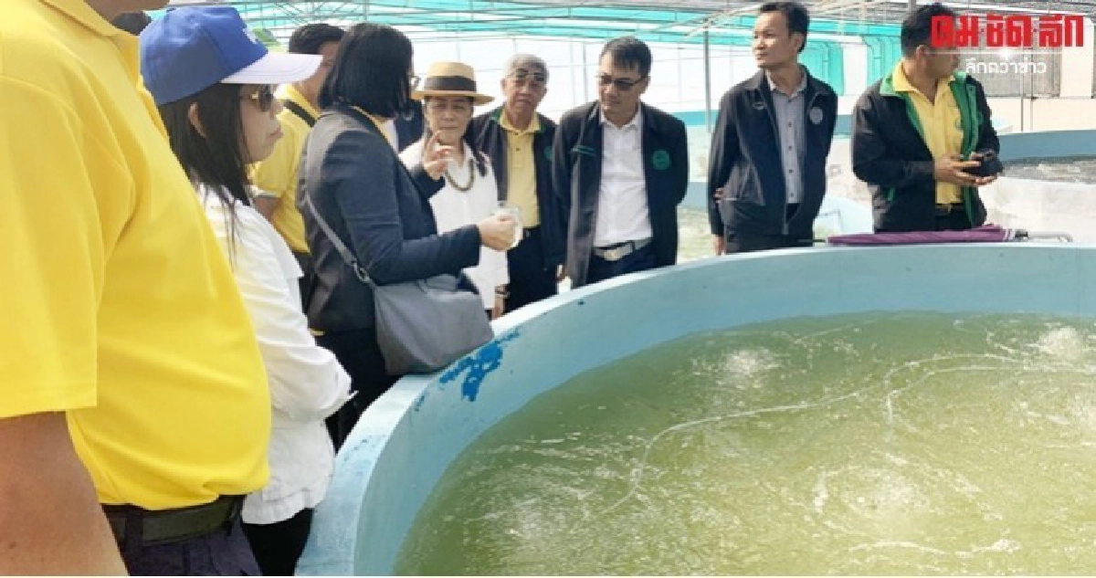 นราพัฒน์ ลุยพัฒนาเมืองเกษตรอัจฉริยะต้นแบบ