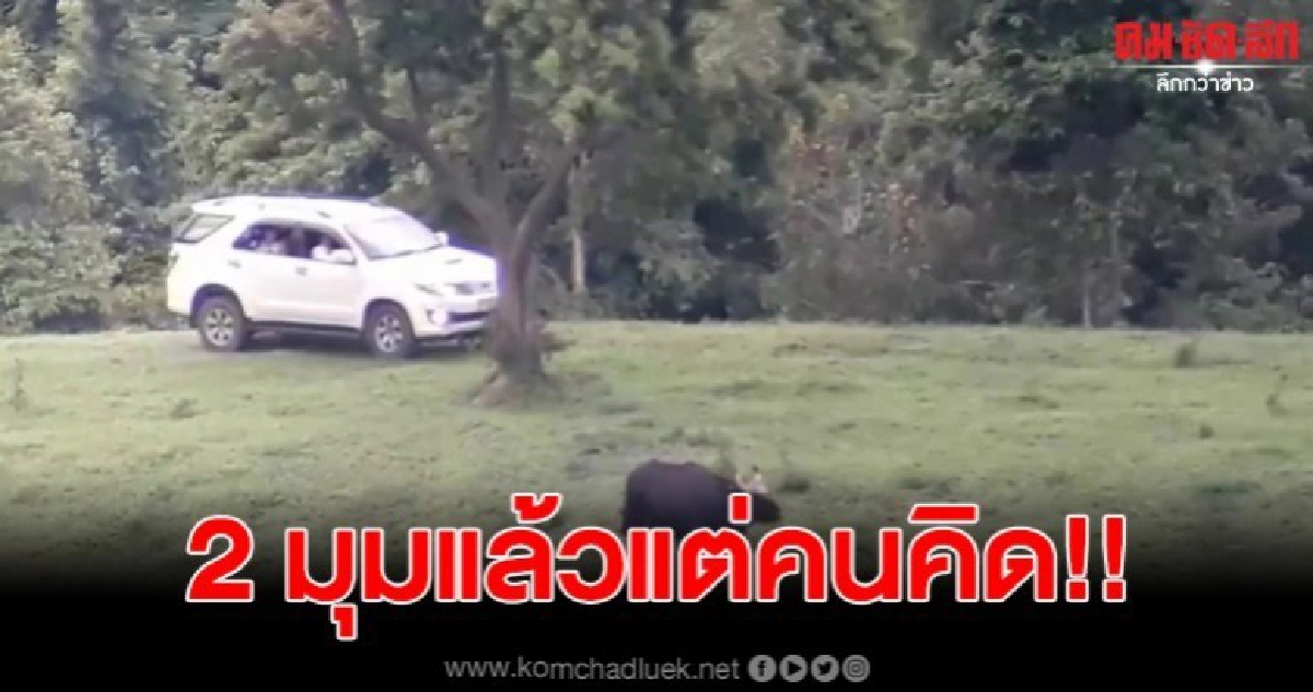 หลวงพ่อเข้าตรวจจุดให้อาหารประจำ ขณะลูกวัดเผย ท่านมีแต่ให้ หลวงพ่อเข้าตรวจจุดให้อาหารประจำ ขณะลูกวัดเผย ท่านมีแต่ให้