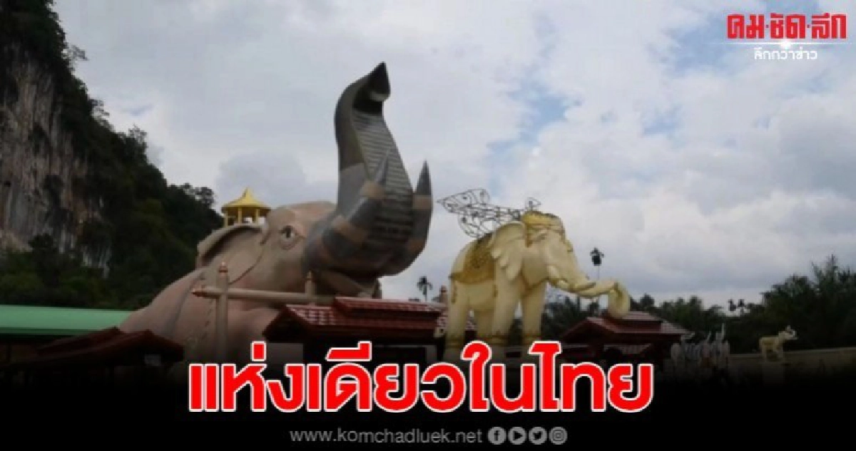 พาชมอุโบสถสุดแปลก รูปช้างหมอบ แห่งเดียวในไทย พาชมอุโบสถสุดแปลก รูปช้างหมอบ แห่งเดียวในไทย