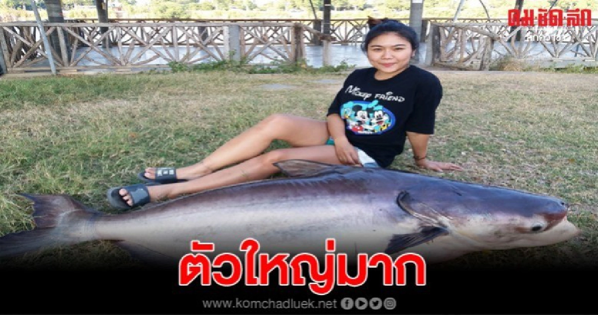หนุ่มวัย36ตกได้ปลาบึกตัวใหญ่ หนักกว่า50กก.  ยาวเท่ารถจยย.