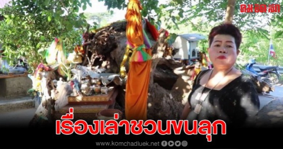 ต้นโพธิ์อาถรรพ์วัดกลางถนน ในอดีตเป็นสุสานฝังเด็ก ต้นโพธิ์อาถรรพ์วัดกลางถนน ในอดีตเป็นสุสานฝังเด็ก
