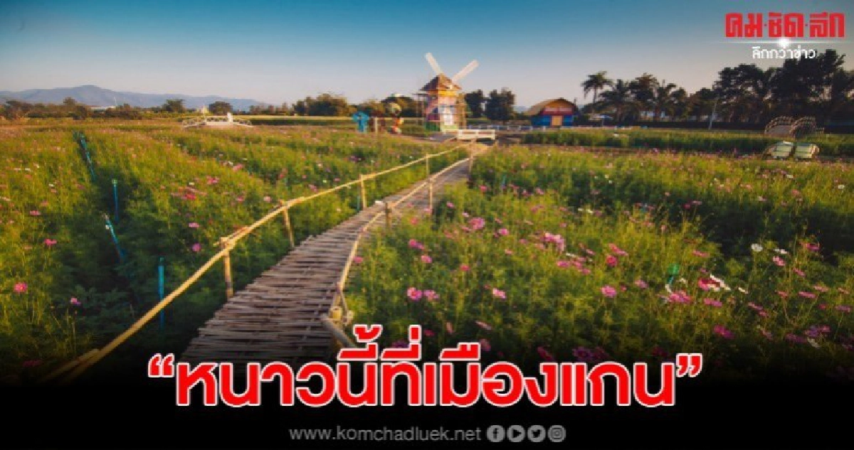 ดอกคำแผ้แหล้บาน ชิมไส้อั่วสมุนไพรยาวที่สุดในโลก ดอกคำแผ้แหล้บาน ชิมไส้อั่วสมุนไพรยาวที่สุดในโลก