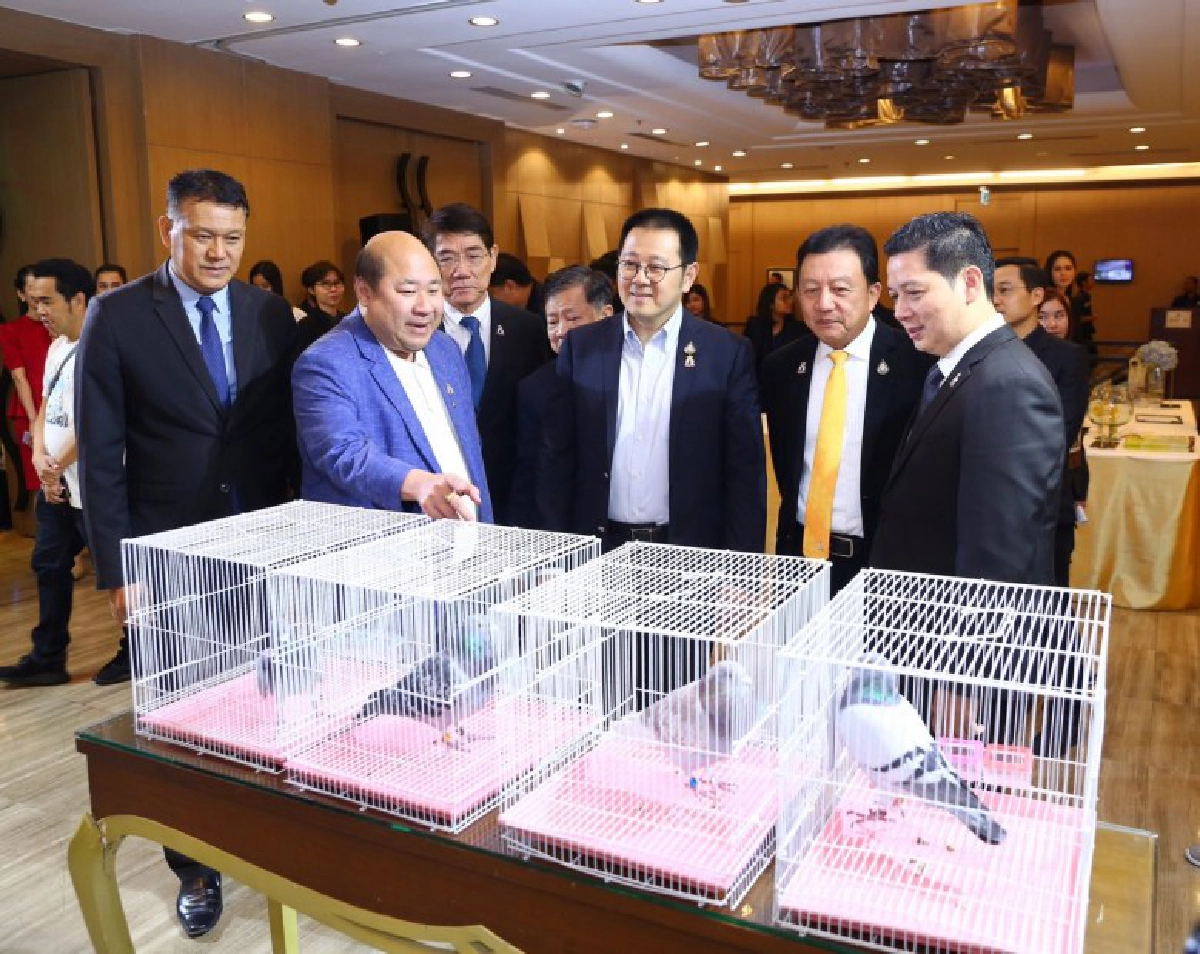 ไทยสร้างประวัติศาสตร์วงการนกพิราบแข่งนานาชาติ