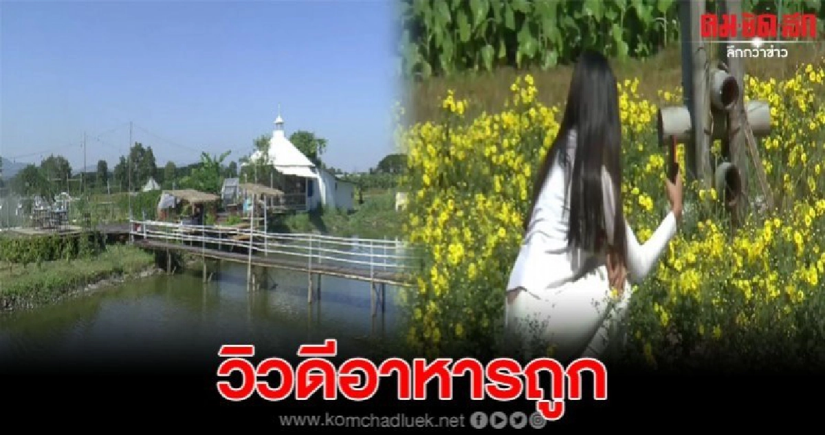 ชานหอยทากดื่มด่ำกับอาหารหลักสิบ ท่ามกลางทัศนียภาพที่สวยงาม 