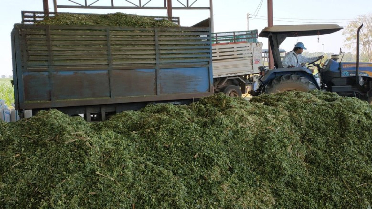 กลุ่มนักธุรกิจพลังงานมาเลฯ เตรียมลงทุนโรงไฟฟ้าไบโอแก๊สในไทย