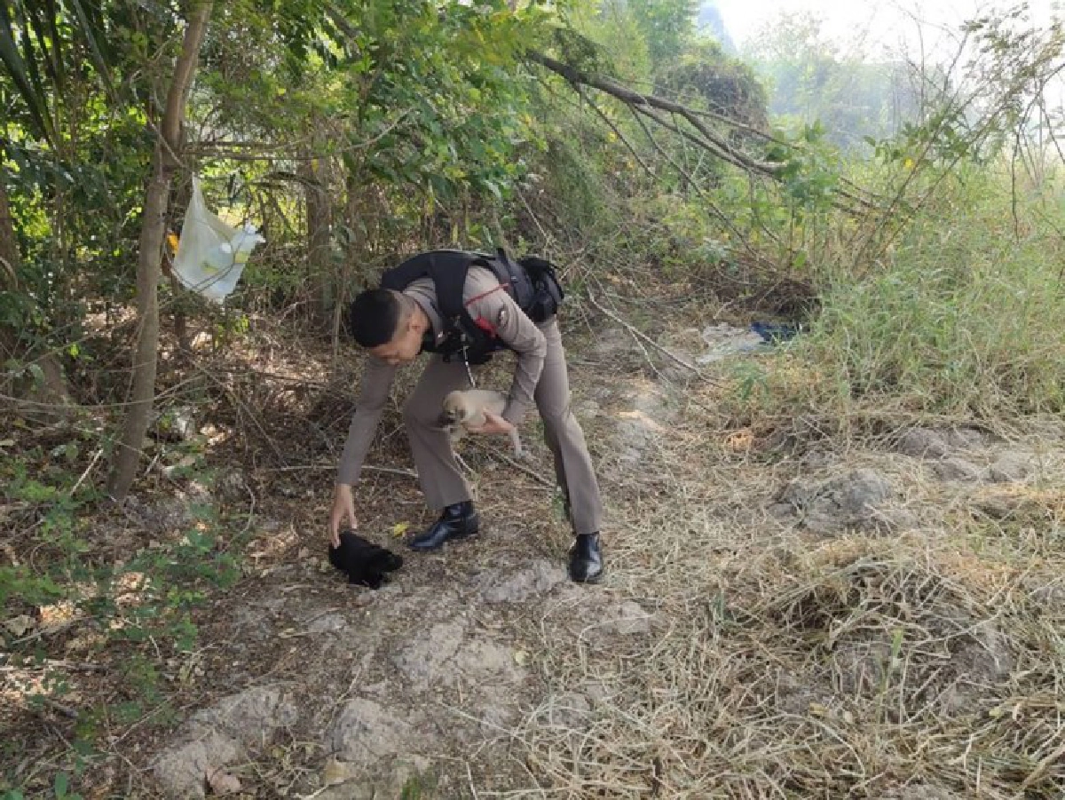 ตำรวจฝ่ากองเพลิงช่วยลูกสุนัข 4 ตัว หลังร้องระงม เกือบไม่รอด