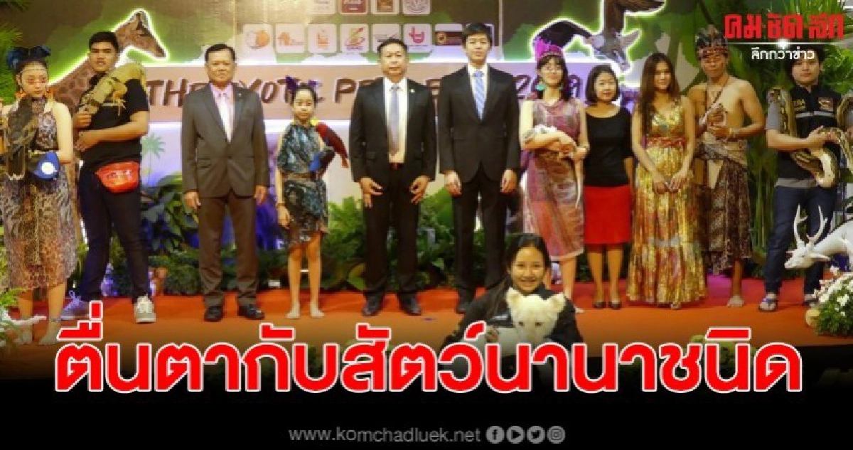 สุดตื่นตากับสัตว์หลากหลายชนิด ที่ เดอะฮับรังสิต สุดตื่นตากับสัตว์หลากหลายชนิด ที่ เดอะฮับรังสิต