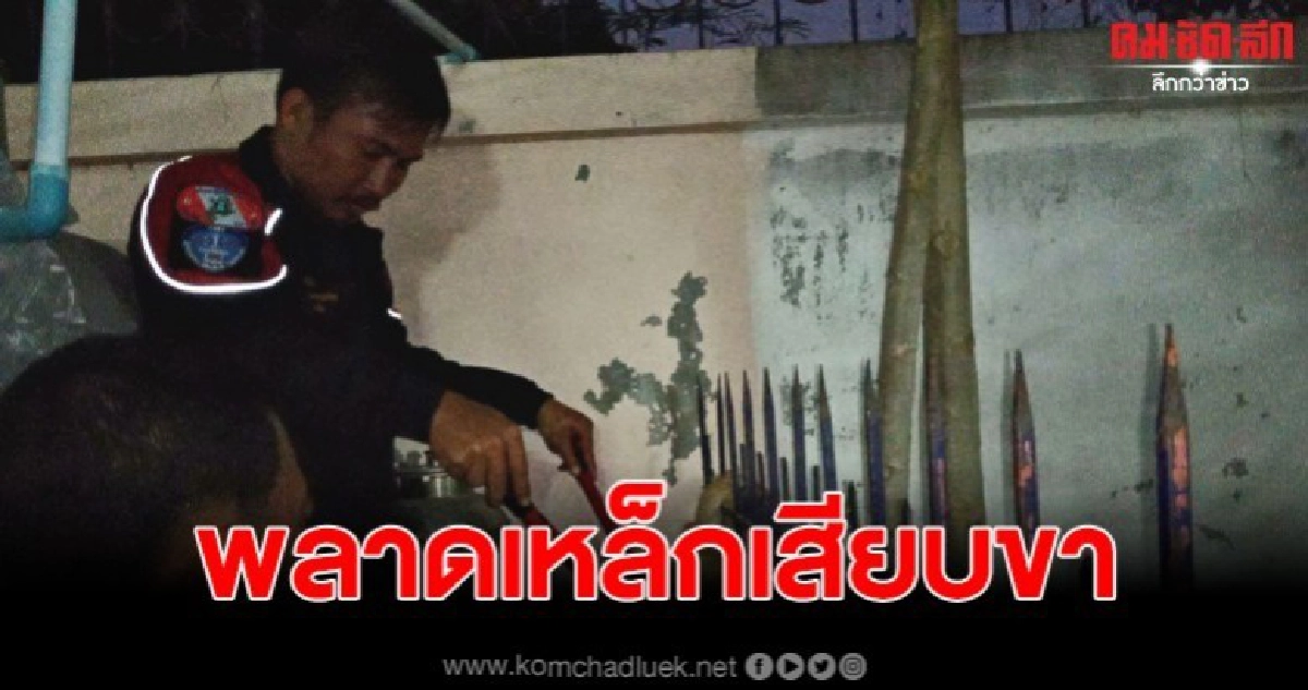 วินาทีช่วยแมว สุดซนกระโดดพลาด ถูกเหล็กรั้วบ้านเสียบ วินาทีช่วยแมว สุดซนกระโดดพลาด ถูกเหล็กรั้วบ้านเสียบ
