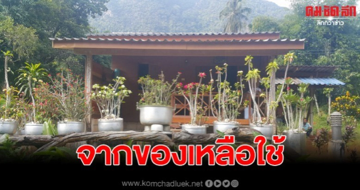 ไอเดียไม่ซ้ำใคร นำหม้อหุงข้าวใช้แล้วมาทำกระถางดอกไม้ ไอเดียไม่ซ้ำใคร นำหม้อหุงข้าวใช้แล้วมาทำกระถางดอกไม้