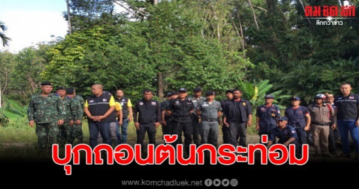 สนธิกำลังทหาร-ตร.ฝ่ายปกครองโค่นพืชกระท่อม 50 ต้น สนธิกำลังทหาร-ตร.ฝ่ายปกครองโค่นพืชกระท่อม 50 ต้น