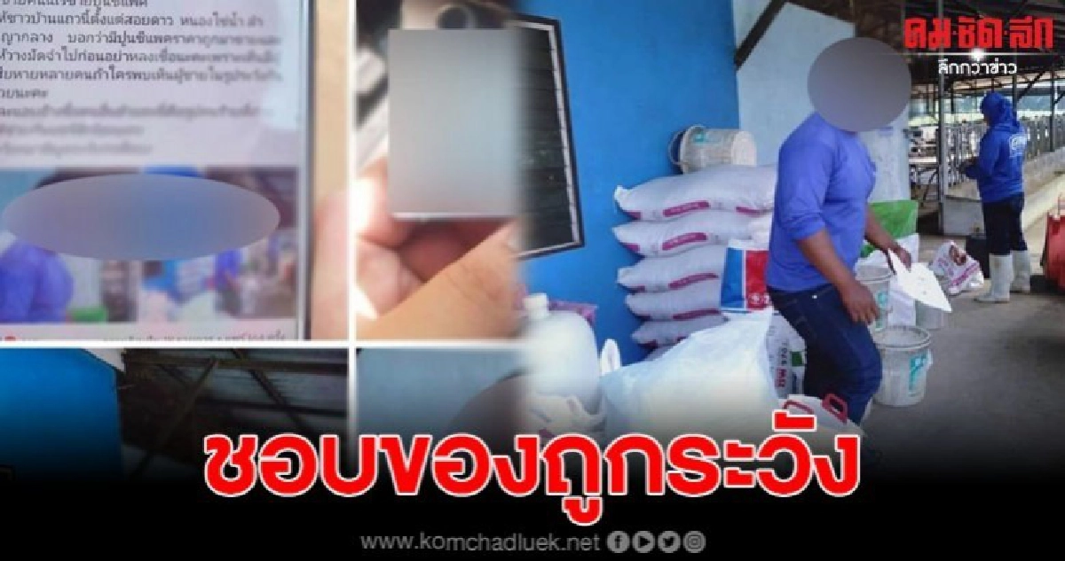 เตือนภัย หนุ่มขายปูนราคาถูก หลอกโอนมัดจำ ก่อนเชิ่ดเงินหนีหาย
