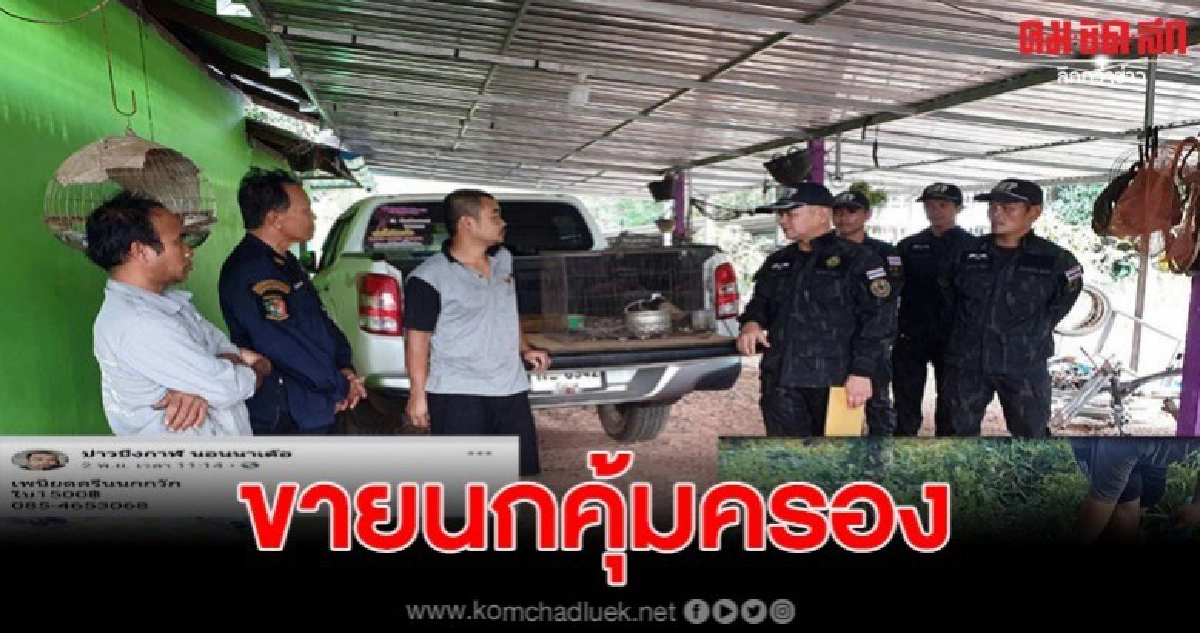 รวบหนุ่ม ขายนกคุ้มครอง ผ่านเฟซบุ๊ค พร้อมสัตว์ป่าเพียบ รวบหนุ่ม ขายนกคุ้มครอง ผ่านเฟซบุ๊ค พร้อมสัตว์ป่าเพียบ