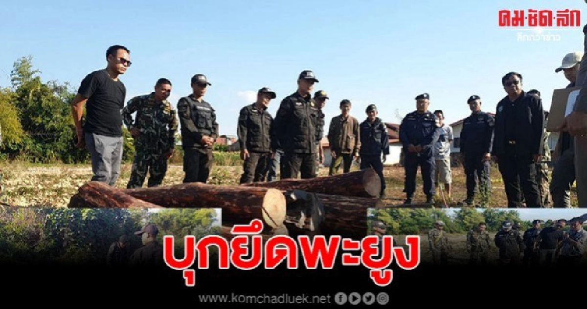 สินค้าส่งออกขายดี!! ยึดไม้พะยูง 50 ท่อน