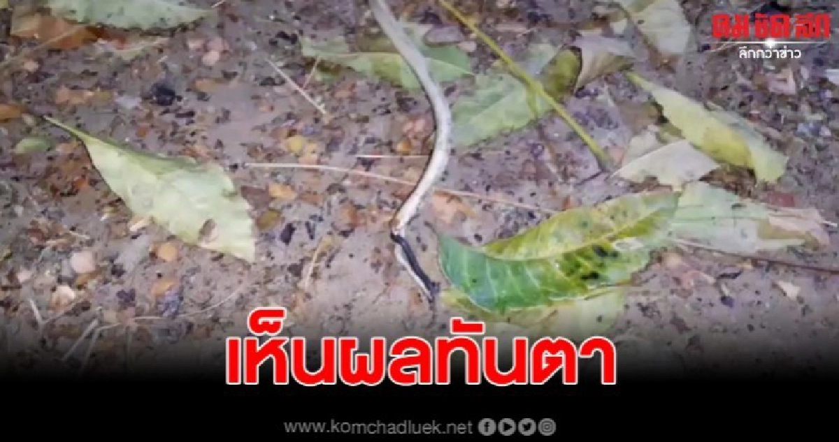 2 หนุ่มชะตาขาด ต่อไฟช็อตปลา พลาดถูกตัวเองเสียชีวิตคู่