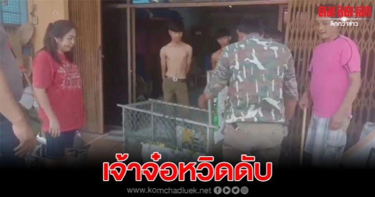 จ๋อจอมซน กัดสายไฟแรงสูงขาด ชาวบ้านเร่งช่วยเหลือ หวิดดับ จ๋อจอมซน กัดสายไฟแรงสูงขาด ชาวบ้านเร่งช่วยเหลือ หวิดดับ