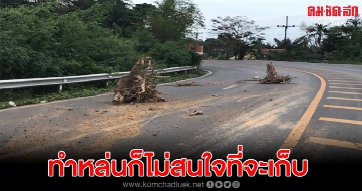 วอนผู้ประกอบการหยุดขับรถประมาท หลังทำรากเหง้าหล่นกลางถนน วอนผู้ประกอบการหยุดขับรถประมาท หลังทำรากเหง้าหล่นกลางถนน