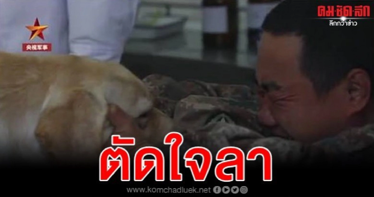 ทหารจีนปล่อยโฮก่อนสุนัขทหารเข้ารับการุณยฆาต