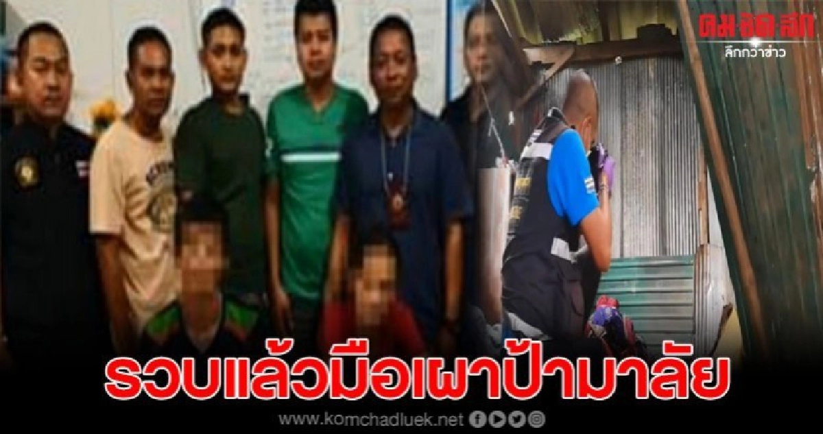 รวบแล้ว2ผัวเมียราดน้ำมันจุดไฟเผาป้ามาลัยเหลืออีก1เร่งล่า รวบแล้ว2ผัวเมียราดน้ำมันจุดไฟเผาป้ามาลัยเหลืออีก1เร่งล่า