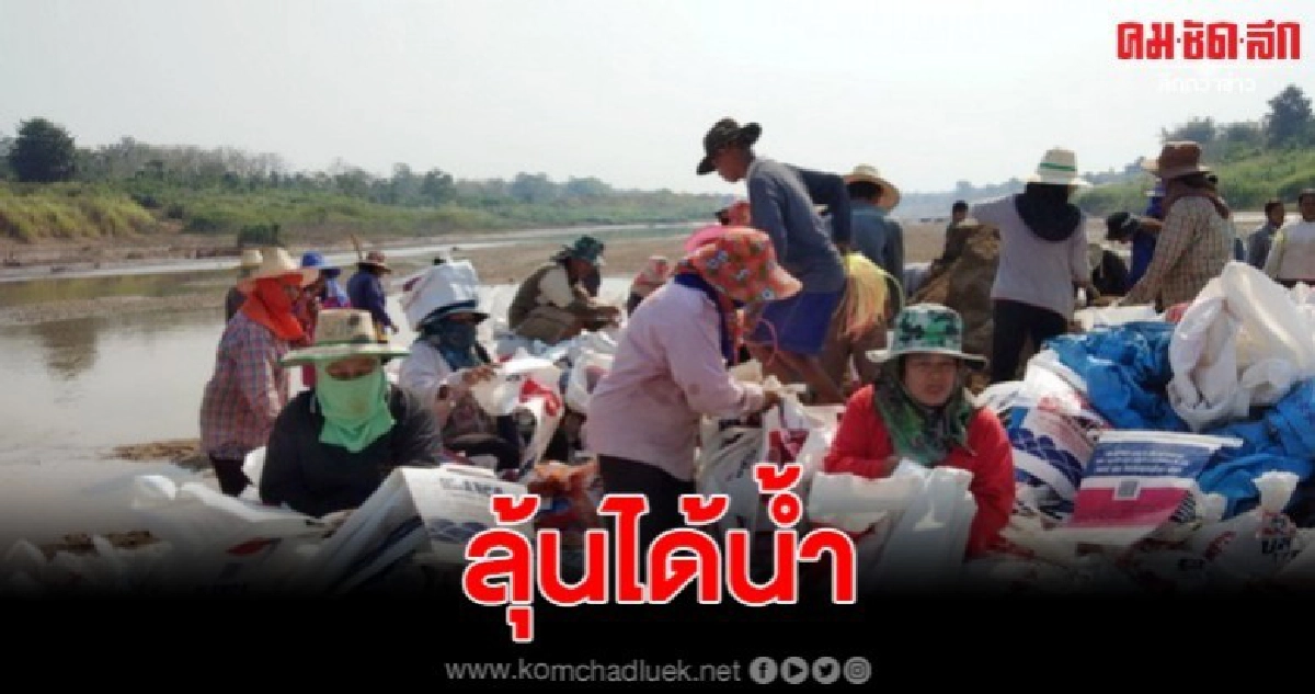 ชาวนาศรีสัชนาลัยเร่งทำฝายกั้นกลางแม่น้ำยม ลุ้นได้น้ำ 50/50 ชาวนาศรีสัชนาลัยเร่งทำฝายกั้นกลางแม่น้ำยม ลุ้นได้น้ำ 50/50