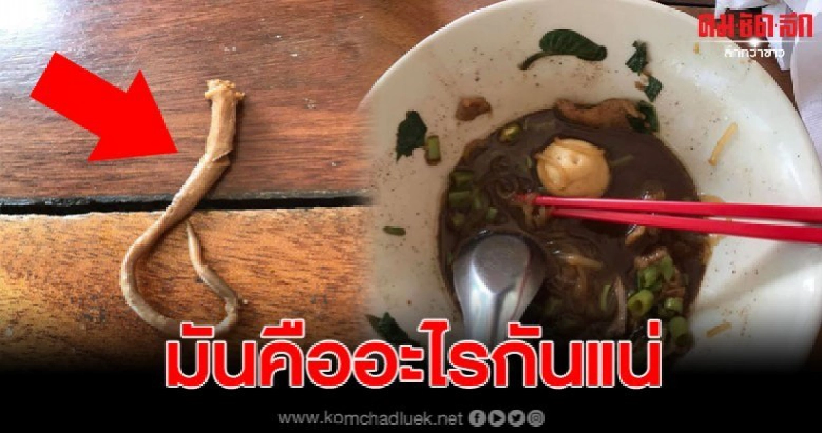 ลูกค้าขวัญเสีย เจอสิ่งแปลกปลอมในชามก๋วยเตี๋ยว ลูกค้าขวัญเสีย เจอสิ่งแปลกปลอมในชามก๋วยเตี๋ยว