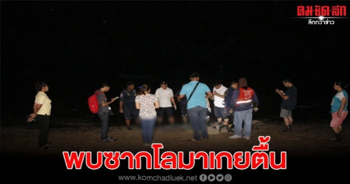 ชาวบ้านหาปลาริมหาดเจอซากโลมาเกยตื้น