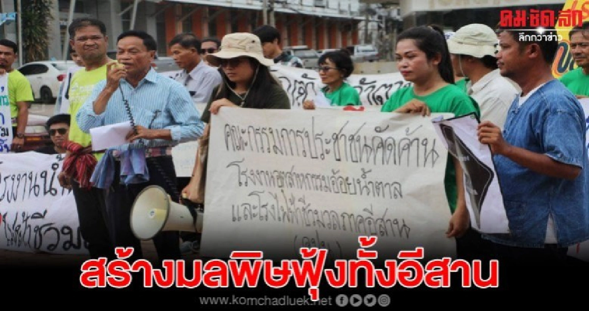 นักวิชาการค้านโรงไฟฟ้าชีวมวล 29 แห่ง เชื่อสร้างมลพิษ นักวิชาการค้านโรงไฟฟ้าชีวมวล 29 แห่ง เชื่อสร้างมลพิษ