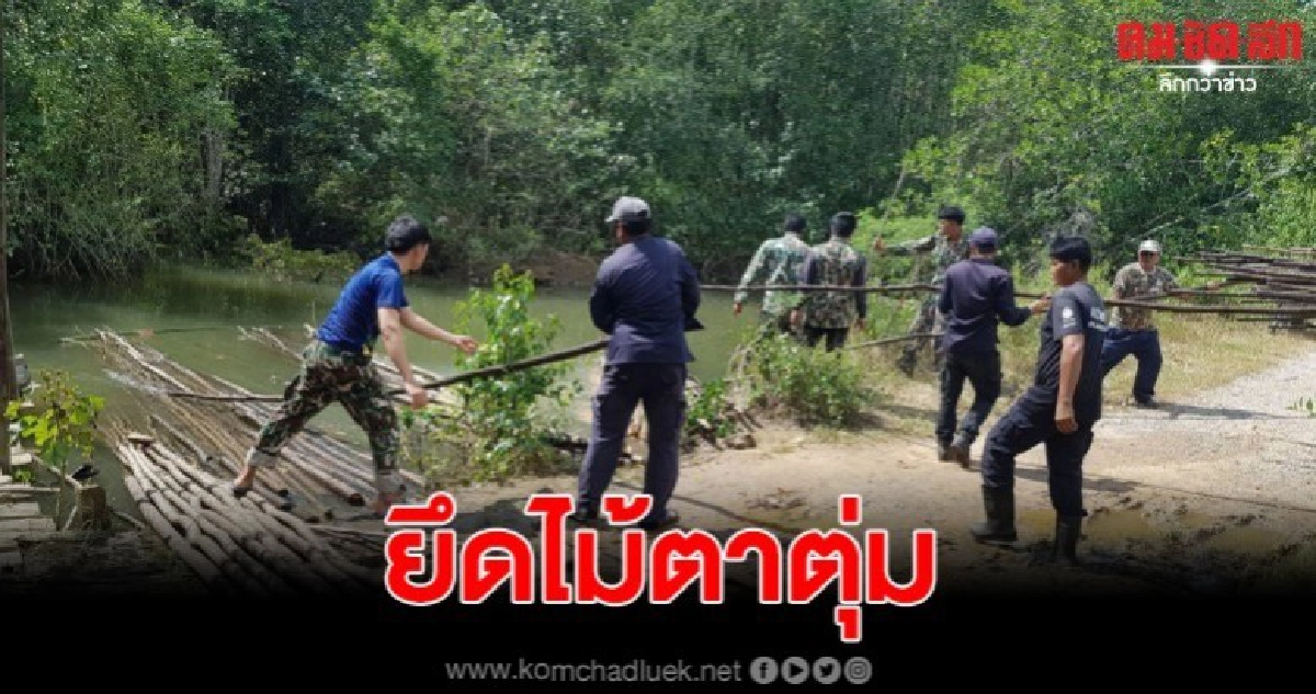 สนธิกำลัง บุกตรวจยึดไม้ตาตุ่ม ไม้หวงห้ามในป่าชายเลน สนธิกำลัง บุกตรวจยึดไม้ตาตุ่ม ไม้หวงห้ามในป่าชายเลน