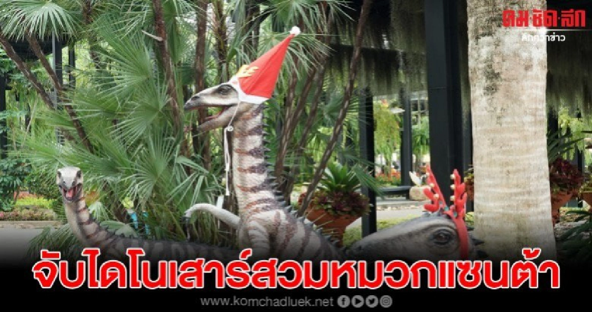 สวนนงนุช จับไดโนเสาร์สวมหมวกแซนต้า รับเทศกาลคริสต์มาส สวนนงนุช จับไดโนเสาร์สวมหมวกแซนต้า รับเทศกาลคริสต์มาส