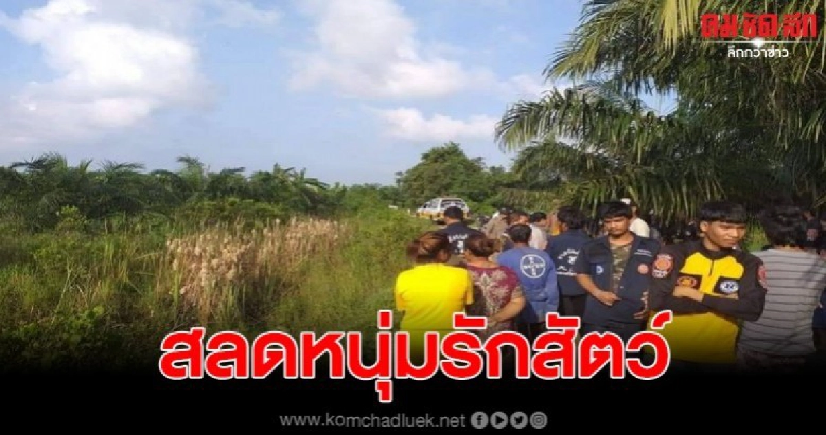 หนุ่มใหญ่ นักดื่มน้ำใจงาม นำอาหารให้สุนัขก่อนพลาดจมน้ำ หนุ่มใหญ่ นักดื่มน้ำใจงาม นำอาหารให้สุนัขก่อนพลาดจมน้ำ