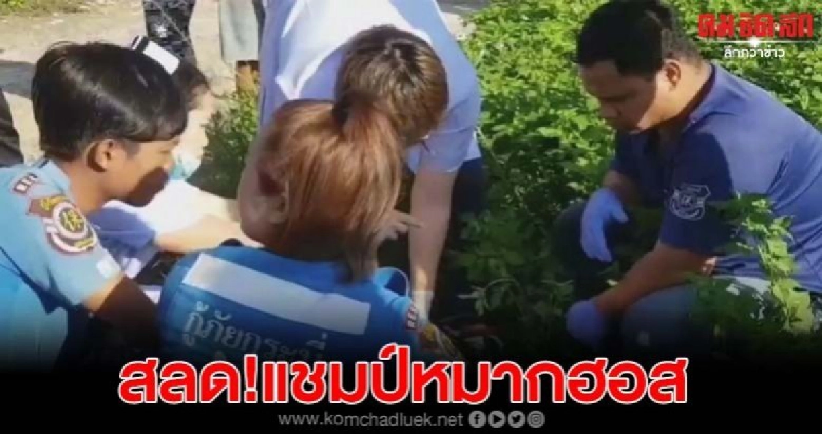 สลด เด็ก ม.3 แชมป์หมากฮอสภาคใต้ จยย.เสียหลักชนเสาไฟฟ้าดับ สลด เด็ก ม.3 แชมป์หมากฮอสภาคใต้ จยย.เสียหลักชนเสาไฟฟ้าดับ