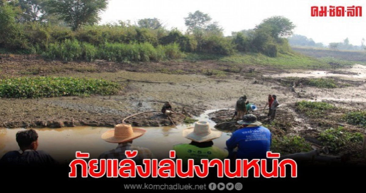 ชาวนาระทมเจอภัยแล้งเล่นงาน ต้องลงขันดูดน้ำบาดาลเลี้ยงต้นข้าว ชาวนาระทมเจอภัยแล้งเล่นงาน ต้องลงขันดูดน้ำบาดาลเลี้ยงต้นข้าว
