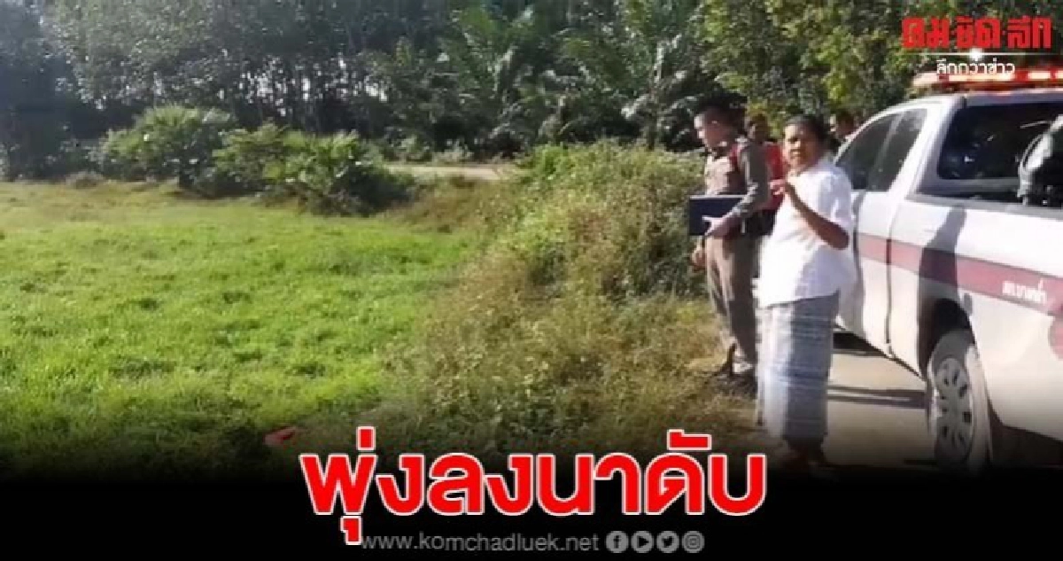 แรงงานพม่าซิ่งมอเตอร์ไซค์หลุดโค้งพุ่งลงในนาเสียชีวิตคาที่ แรงงานพม่าซิ่งมอเตอร์ไซค์หลุดโค้งพุ่งลงในนาเสียชีวิตคาที่