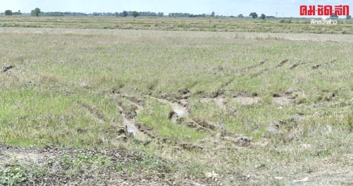 แล้งยาวกรมชลเปิดศูนย์ศูนย์เฉพาะกิจรับมือ