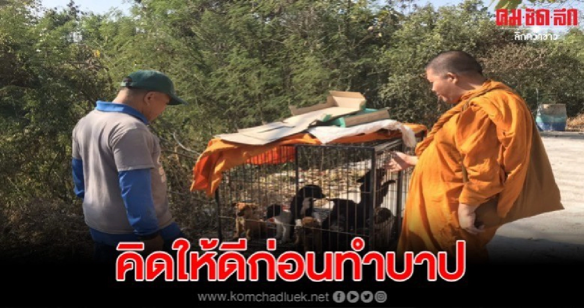 คนใจร้ายนำหมาน้อยไปปล่อยวัดถึง 9 ตัว