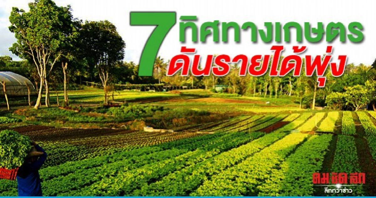 เปิดโผทิศทางเกษตรปี 63 ดัน  7 เป้าหมายรายได้พุ่ง