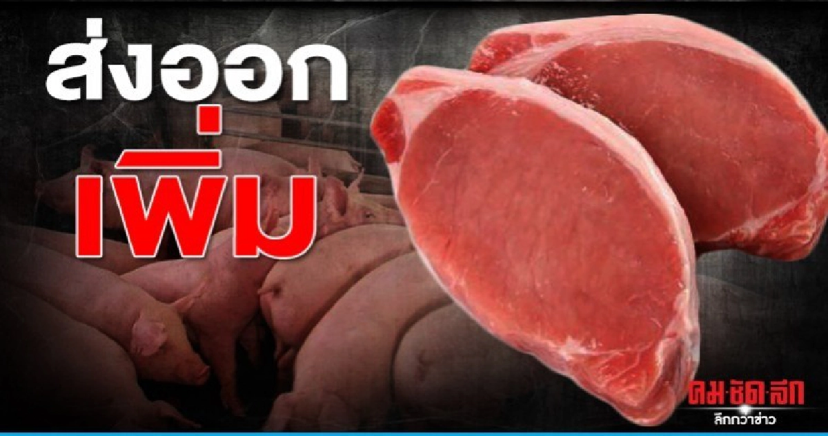 อานิสงส์จีนอหิวาต์หมูระบาดไทยส่งออกเพิ่ม