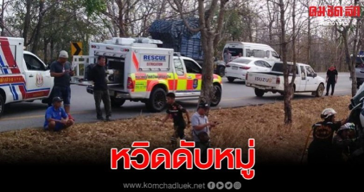 รถตู้ นทท.พุ่งชนต้นไม้ บาดเจ็บร่วมเกือบ 10 ราย