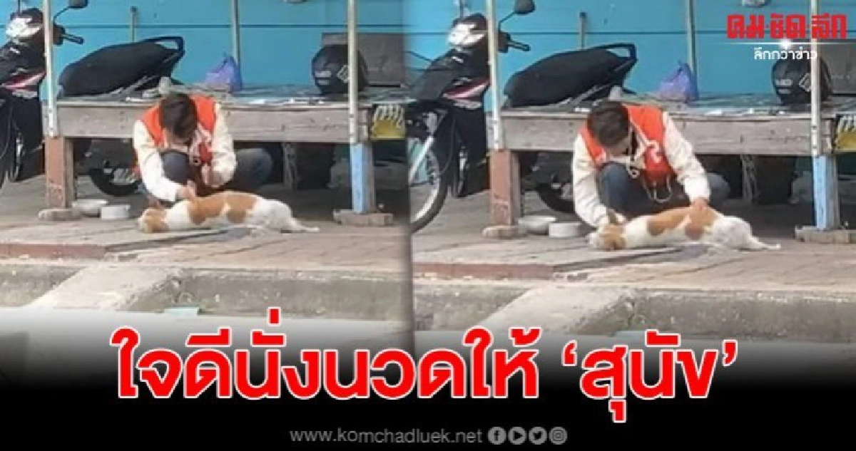 โซเชียลแห่แชร์ พี่วินใจดีนวดให้ 'สุนัข' ผ่อนคลาย จนเผลอหลับ โซเชียลแห่แชร์ พี่วินใจดีนวดให้ 'สุนัข' ผ่อนคลาย จนเผลอหลับ