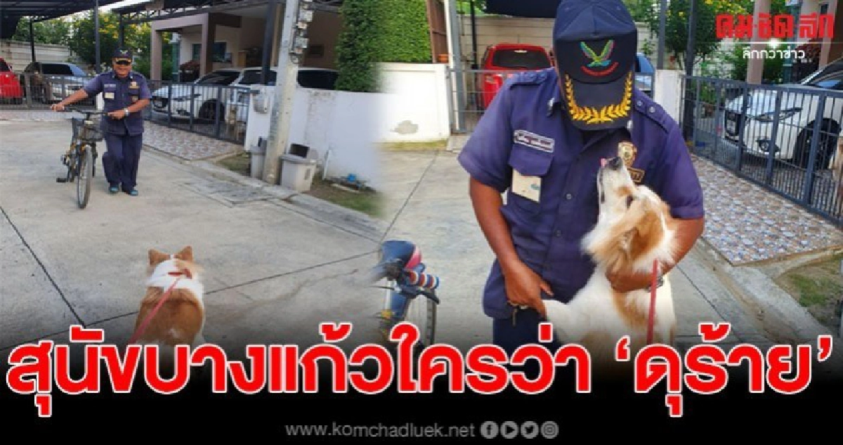 เจ้าของเผย 'จี้จี้' สุนัขบางแก้วที่ไม่ดุ แถมขี้เล่นกับทุกคน เจ้าของเผย 'จี้จี้' สุนัขบางแก้วที่ไม่ดุ แถมขี้เล่นกับทุกคน