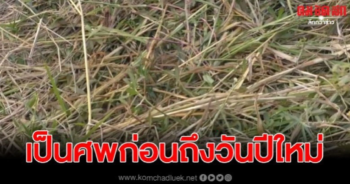 อดีตลูกจ้างเทศบาลขี่จักรยานยนต์ตกข้างทาง ดับอนาถในทุ่งนา
